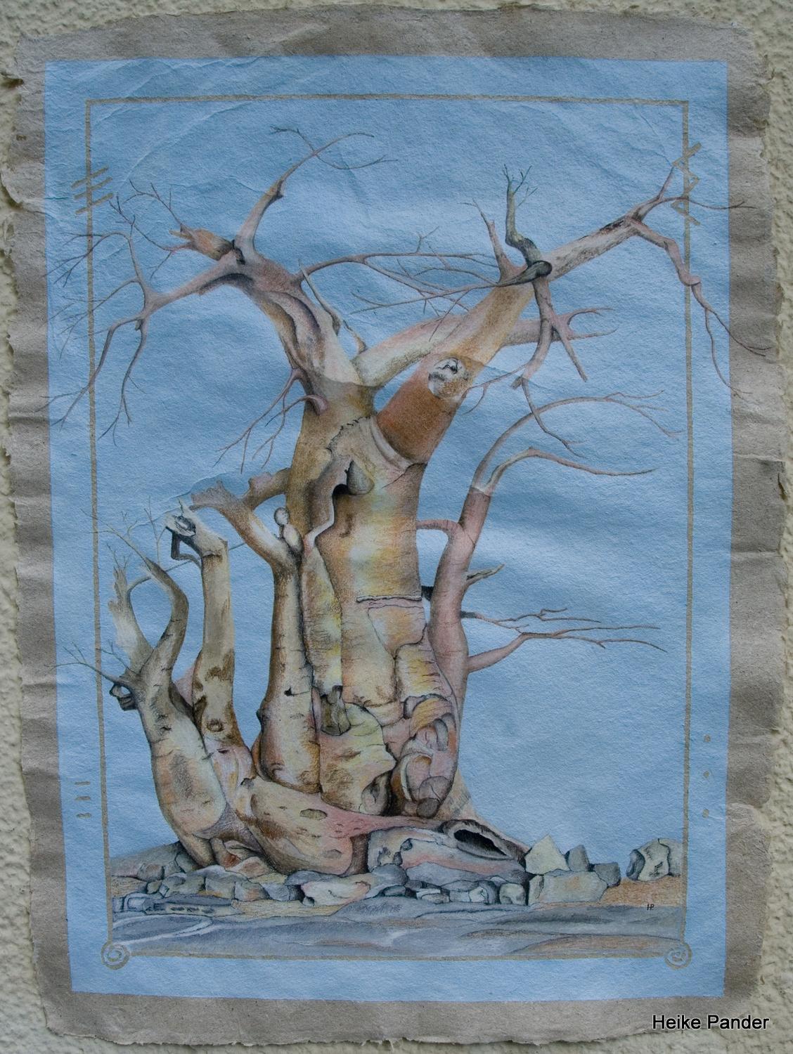 Baobab, Botsuana, Heike Pander