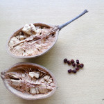 Baobab Fruit and Seeds