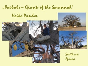 Presentation_Baobabs_2215