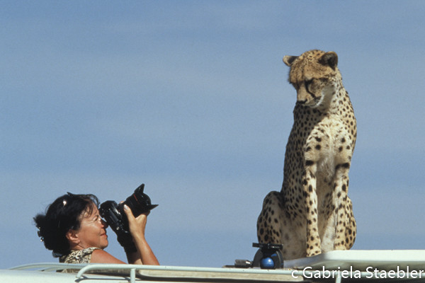 Gabriela Staebler with a wild Cheetah