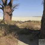Baines Baobabs, Botsuana