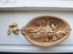 Open Baobab Fruit