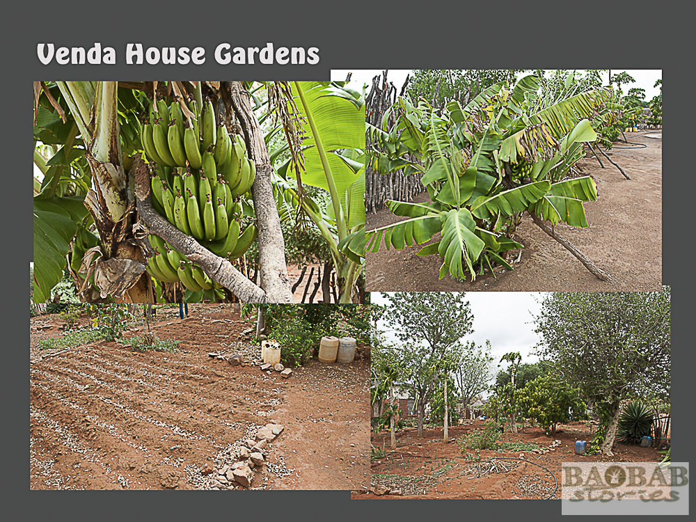 Venda House Gardens