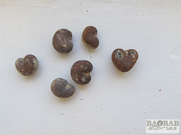Baobab Seeds