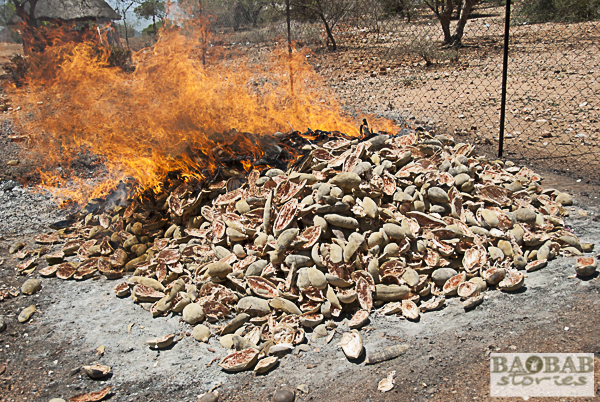 Burning Baobab Fruit Shell