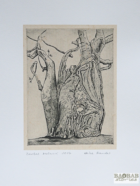 Baobab Liwonde