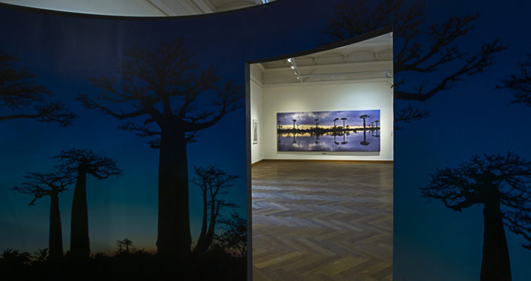 Baobab photography of Pascal Maître, baobab exhibition "Baobab - the magic tree" at NHM, Vienna