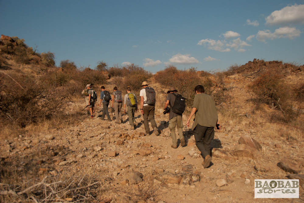 Hiking in the Wilderness, EcoTraining, Mashatu, Tuli Block, Botswana