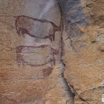 Rhinos, San paintings, Tsodilo Hills, Botswana