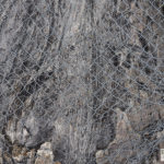 Mesh wire over baobab scars, Moremi Game Reserve
