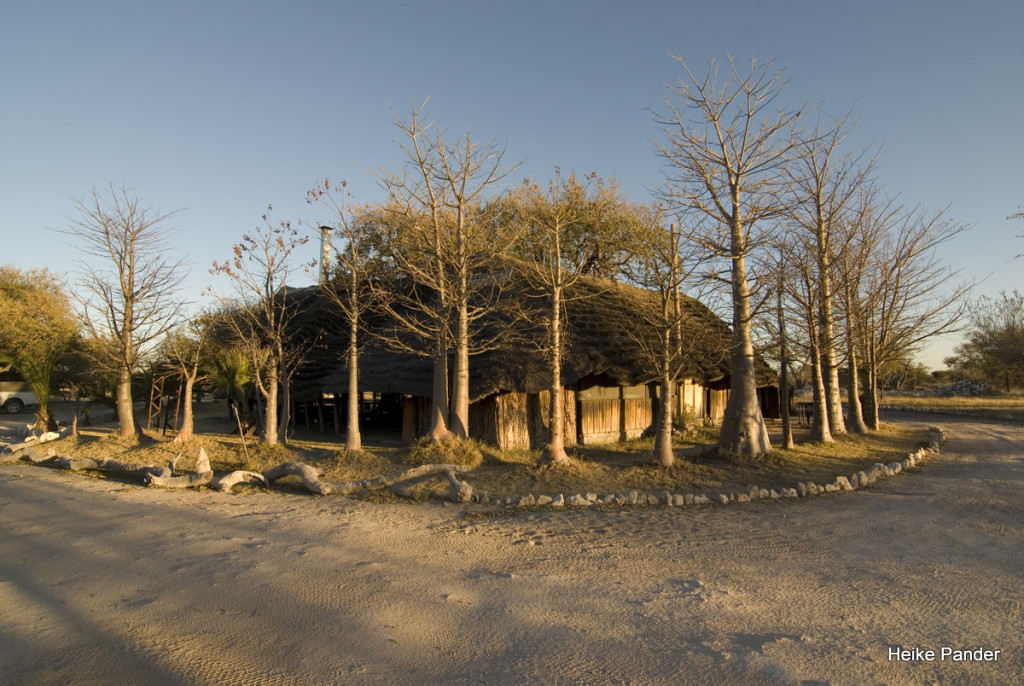 Tsumkwe, Namibia Baobab