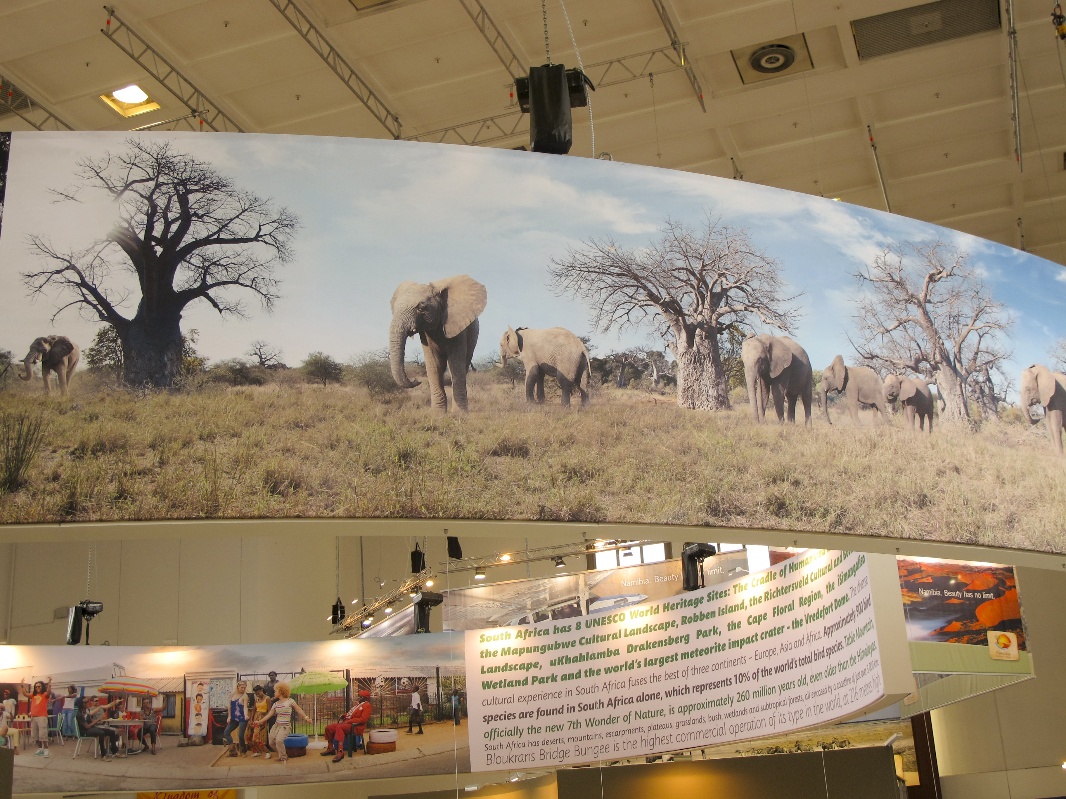 Baobabs und Elefanten, Suedafrika, ITB