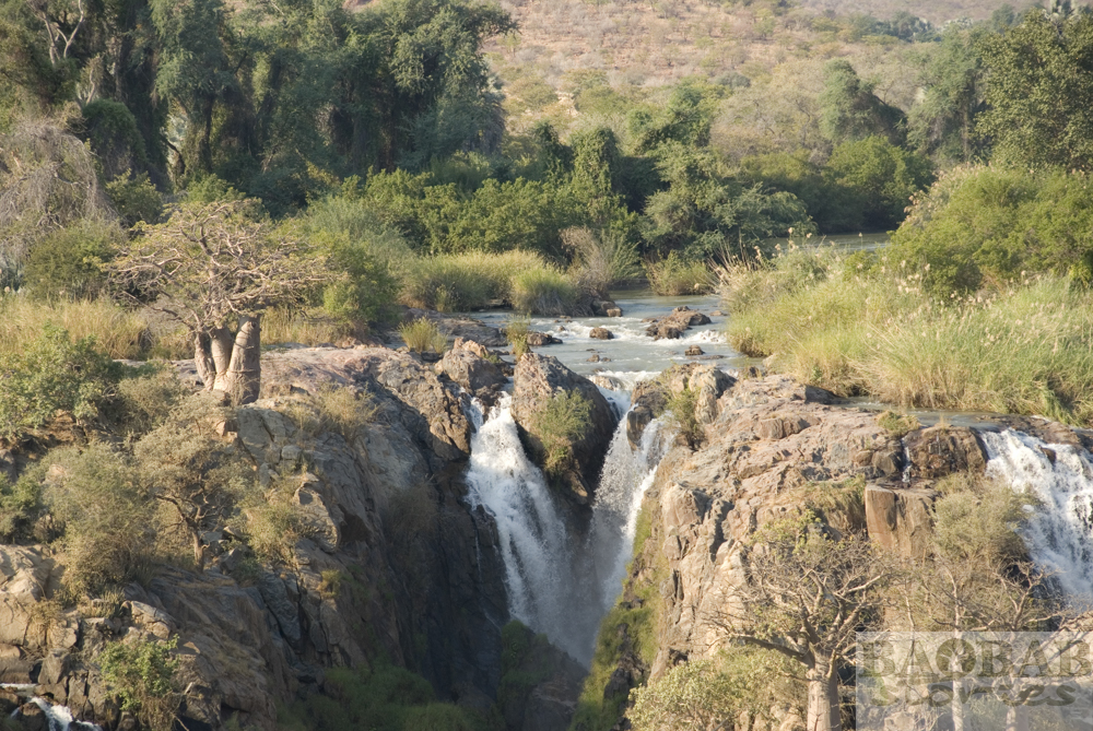 Baobab, Epupa Falls