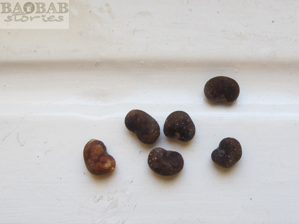 Baobab Samen