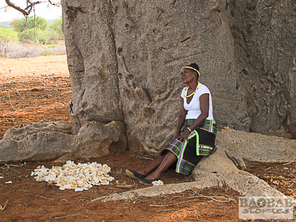 Sylvia Mathoho unterm Baobab
