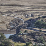 Baobabs in Mapungubwe, Südafrika, Gerhard Hübner