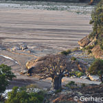 Baobab in Mapungubwe, Südafrika, Gerhard Hübner