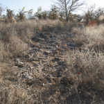 Abgestorbener Baobab, Makuleke, Südafrika