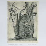 Baobab Liwonde