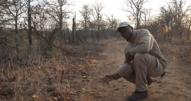Norman Chauke, EcoTraining Camp, Südafrika