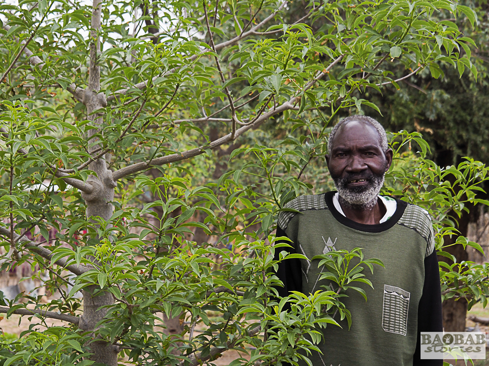 Aaron Nemutshenzheni vor seinem Baobab, Limpopo, Südafrika
